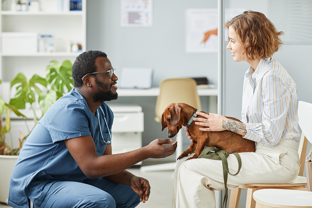 Planos médico-veterinários constituem uma tendência, mas sua implantação requer boa análise do mercado, da legislação, das relações envolvidas na cadeia de fornecedores do empreendimento, e dos direitos e obrigações dentro da prestação de serviço, para que tutores e médicos-veterinários possam se beneficiar. Créditos: SeventyFour 