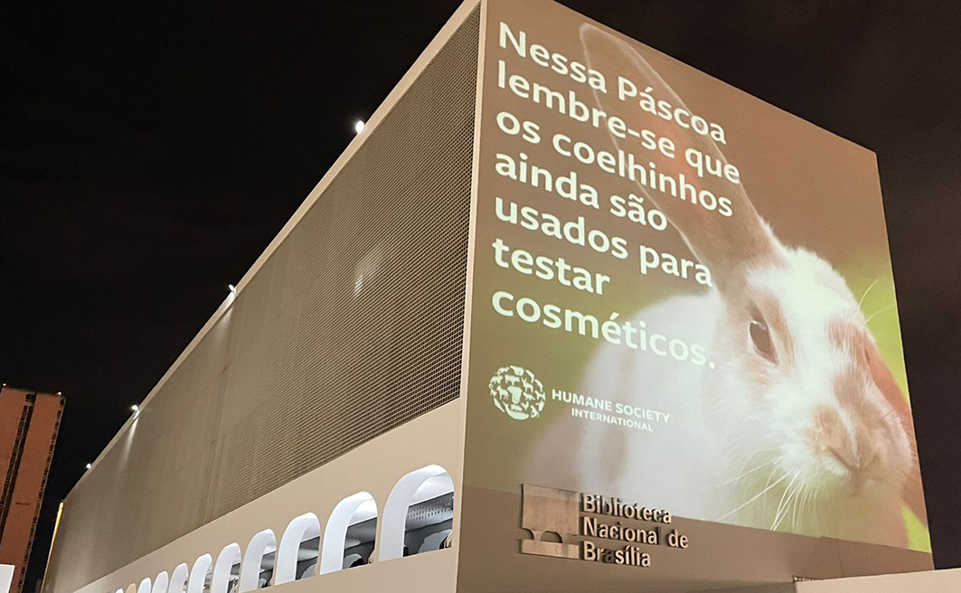 Projeção em Brasília. Créditos: Humane Society International 