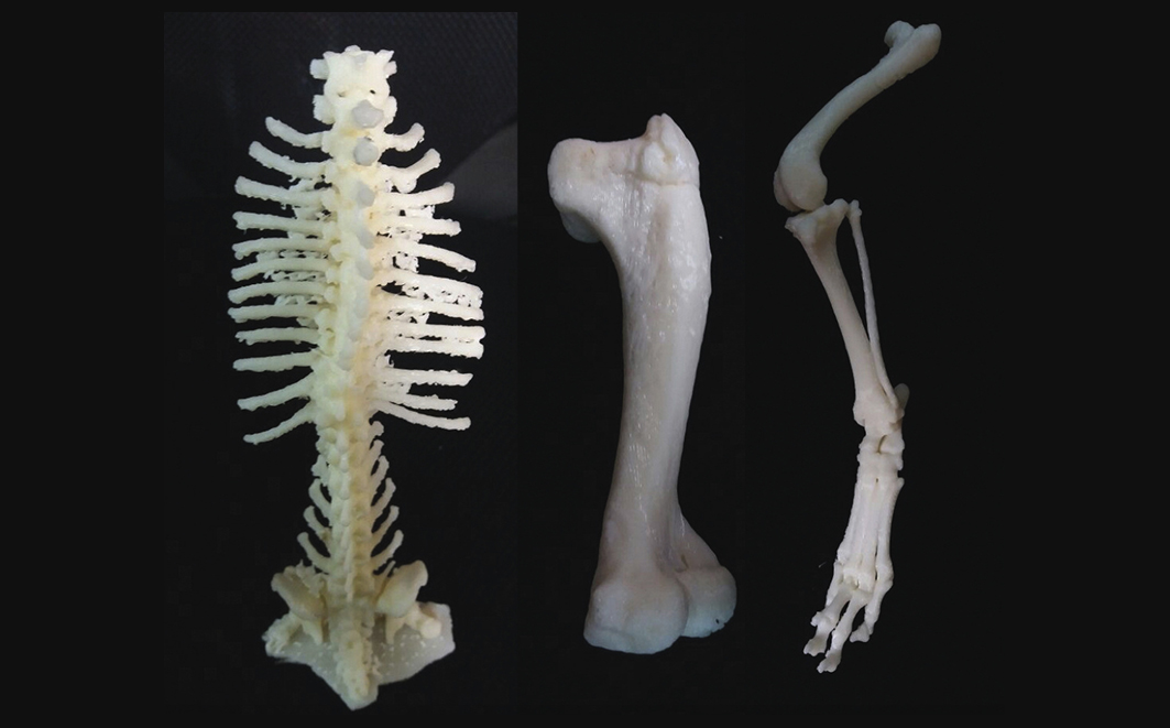 Impressões 3D para uso no planejamento cirúrgico