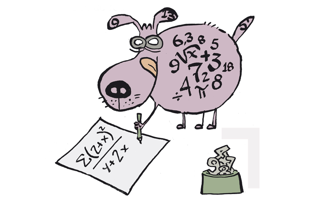Modelos matemáticos podem fornecer informações que auxiliem a estimar os efeitos das estratégias de controle, como esterilização e eutanásia. Créditos: Fernando Gonsales