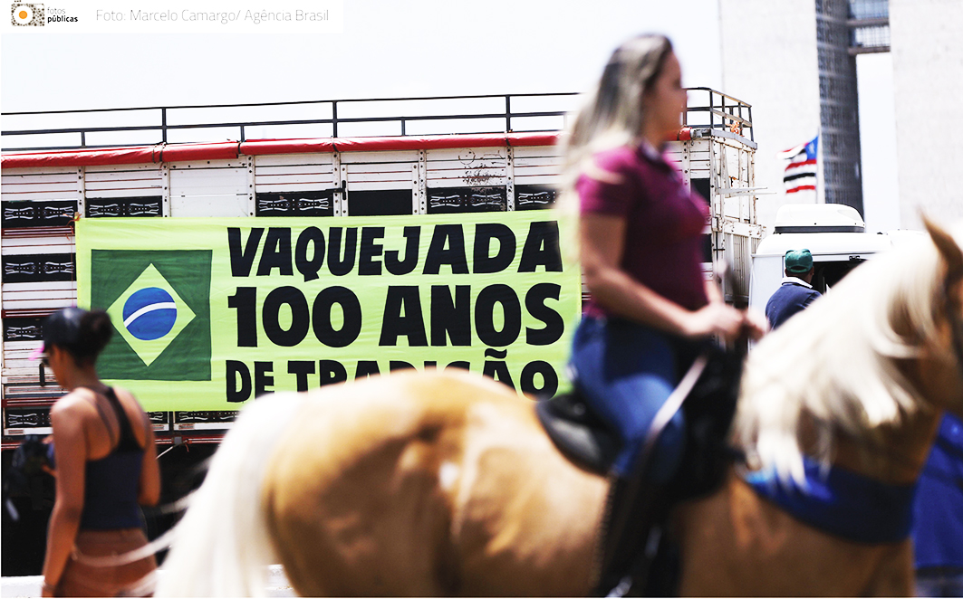 Vaqueiros protestam contra projeto de lei que proíbe a vaquejada e a justificam com base em antiga tradição