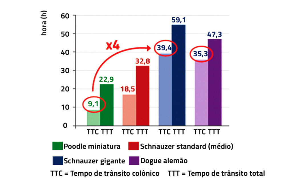 Relação entre o tempo de trânsito colônico (TTC) e o
tempo de trânsito total (TTT) de acordo com o porte de
cães. Cães pequenos possuem um TTC aproximadamente
4x menor que cães grandes (HERNOT et al, 2006)