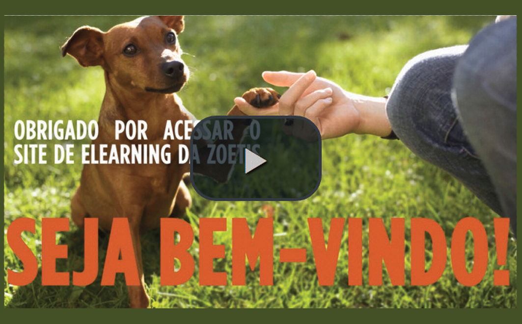 Acesse a plataforma de e-learning