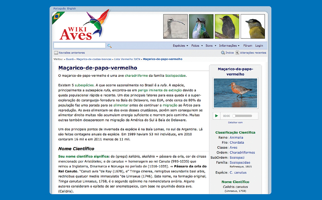Para conhecer as aves, seus hábitos, alimentação, canto, distribuição geográfica, predadores, reprodução etc, o Wiki Aves é um site de conteúdo interativo, direcionado à comunidade brasileira de observadores de aves, com o objetivo de apoiar, divulgar e promover a atividade de observação de aves, fornecendo gratuitamente ferramentas avançadas para controle de fotos, sons, textos, identificação de espécies, comunicação entre observadores, entre outras