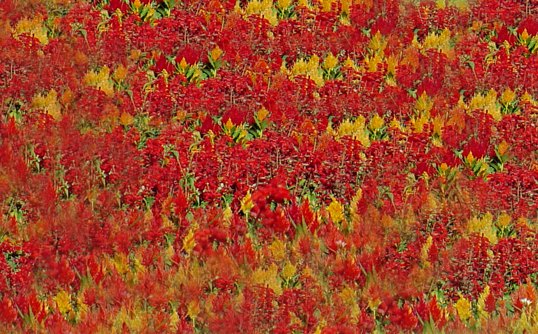 Créditos: Travel-Fr 