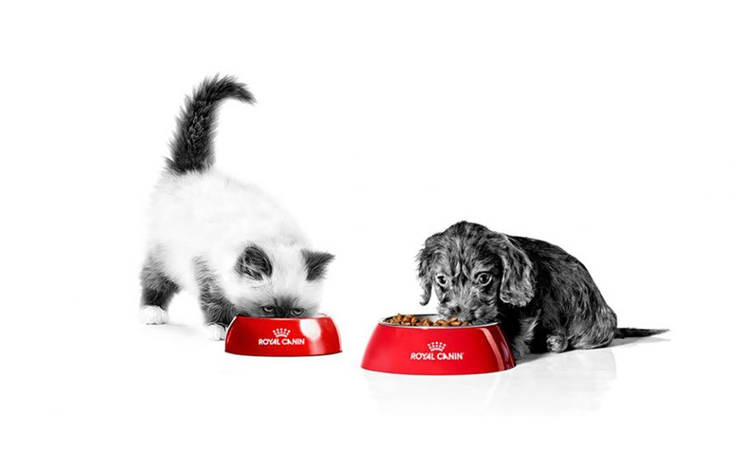 Divulgação Royal Canin® 