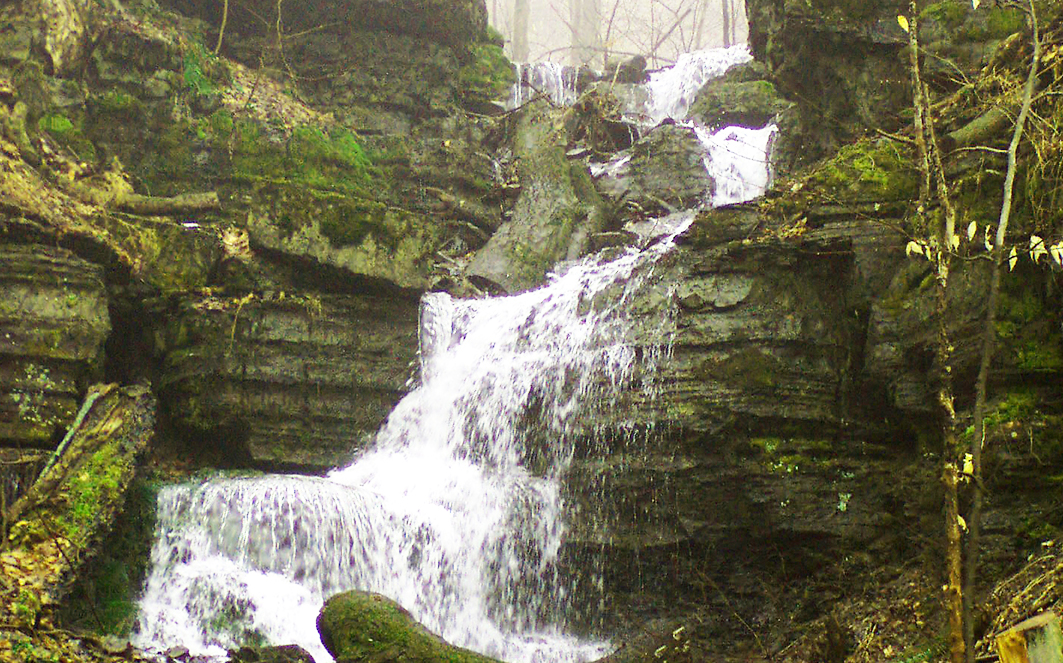 Créditos: Matt Antonino 