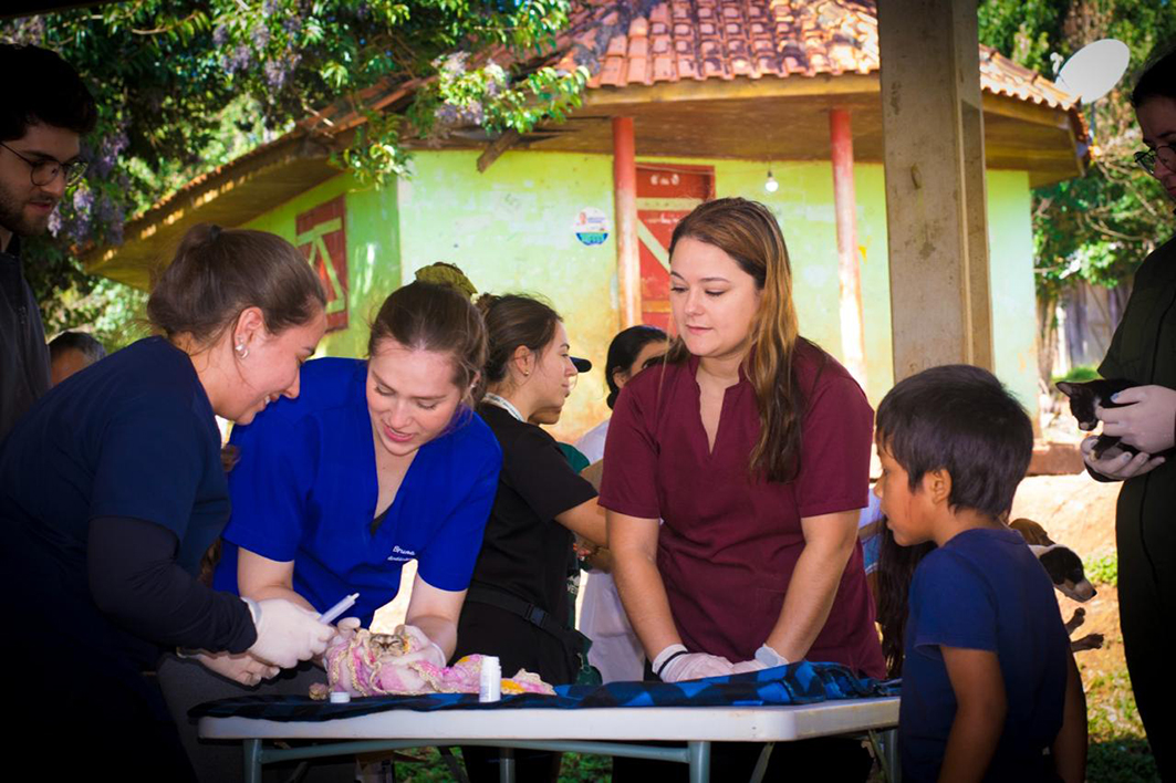 Créditos: Murilo P. C. de Camilo 