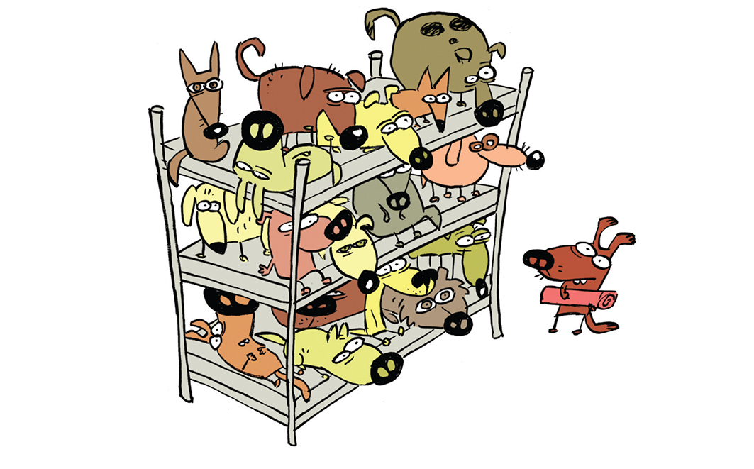Abrigos superlotados não oferecem condições mínimas de bem-estar para os animais abrigados. Créditos: Fernando Gonsales 